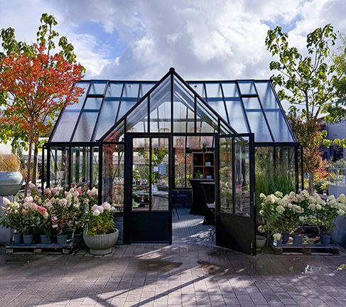 Orangerie auf Mauer